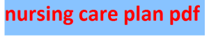 nursing care plan pdf
