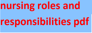 nursing roles and responsibilities pdf
