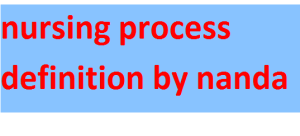 nursing process definition by nanda 2024-2025