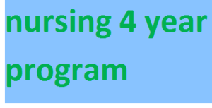 nursing 4 year program 2024-2025