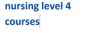 nursing level 4 courses 2024-2025