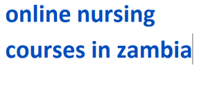 online nursing courses in zambia 2024-2025