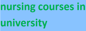 nursing courses in university 2024-2025