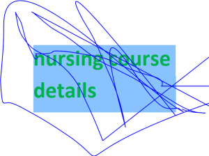 nursing course details 2024-2025