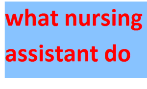 what nursing assistant do 2024-2025