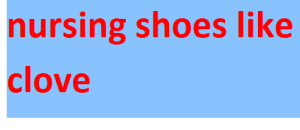 nursing shoes like clove 2024-2025
