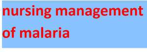 nursing management of malaria 2024-2025