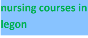 nursing courses in legon 2024-2025