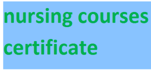 nursing courses certificate 2024-2025