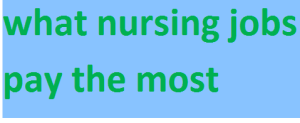 what nursing jobs pay the most 2024-2025