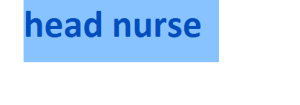 head nurse 2024-2025