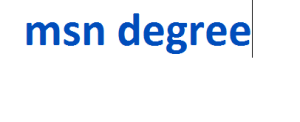 msn degree 2024-2025