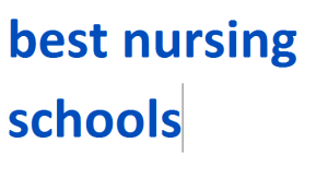 best nursing schools 2024-2025