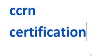 ccrn certification 2024-2025