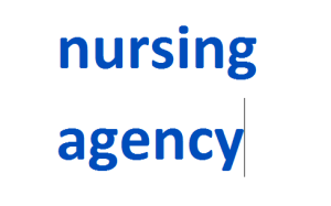nursing agency 2024-2025