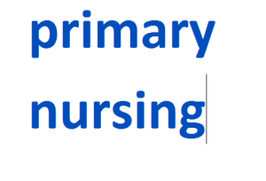 primary nursing 2024-2025