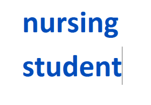 nursing student 2024-2025