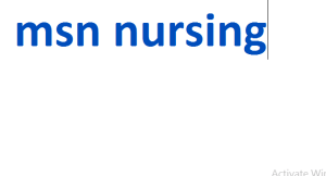msn nursing 2024-2025