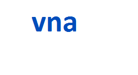 vna 2024-2025