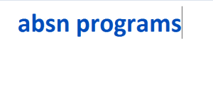 absn programs 2024-2025