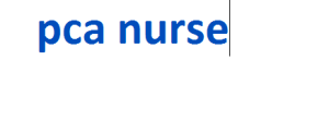 pca nurse 2024-2025