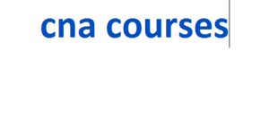 cna courses 2024-2025