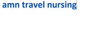 amn travel nursing 2024-2025