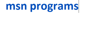 msn programs 2024-2025