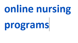 online nursing programs 2024-2025