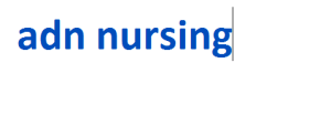 adn nursing 2024-2025
