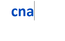 cna 2024-2025
