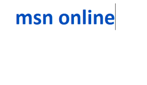 msn online 2024-2025