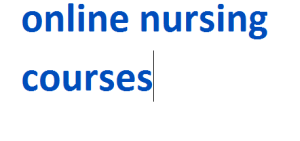 online nursing courses 2024-2025