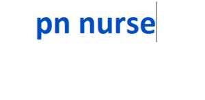 pn nurse 2024-2025