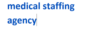 medical staffing agency 2024-2025