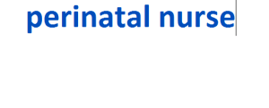 perinatal nurse 2024-2025