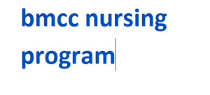 bmcc nursing program 2024-2025