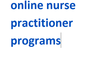 online nurse practitioner programs 2024-2025