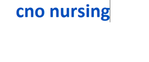 cno nursing 2024-2025