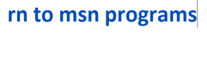 rn to msn programs 2024-2025